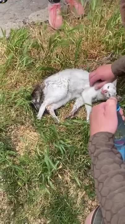 �������� ������ ����� � ����������� ������ �� ����� �������� � ���������