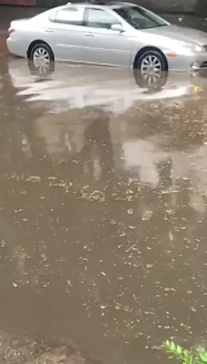 ������� ������ ������