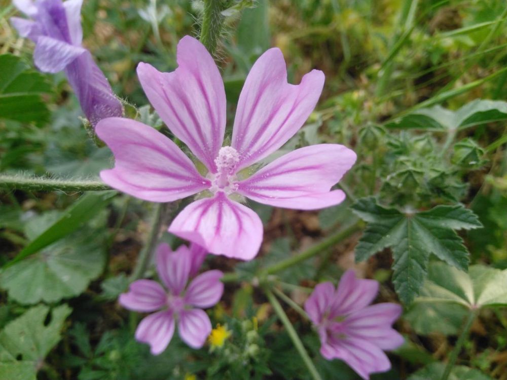 � ������� � ������������� � � ������ �������� ���� ���������, � � ���� - ���� ��������