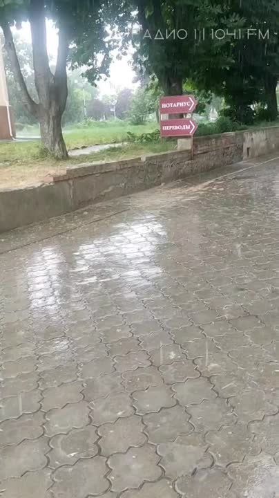 ������ � �������