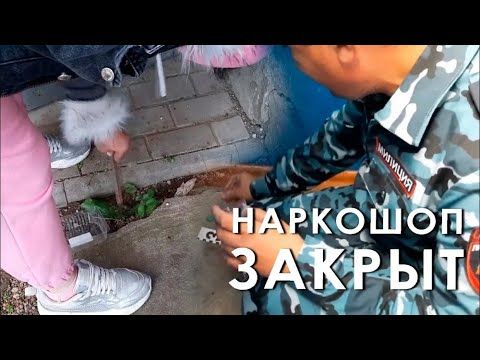 ���������, ��������, ������������ ���������, ���������� �������� � ���� ��������-�����. ���������� ������� �������� � ���������� ������ ��������-�������� �� ������� ����������� �������. ������ �� ������ ������������ �������� ����