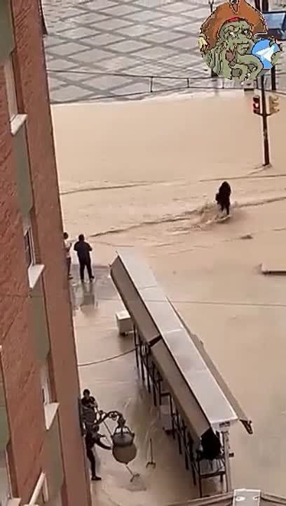 ��������� ������. ��-�� ������ ����� ������������ � ����.