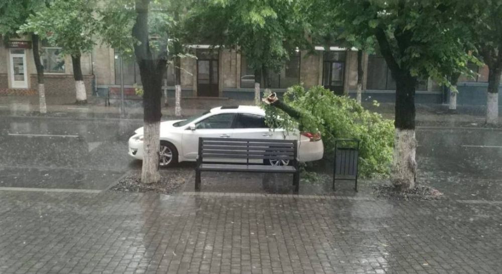 ��� ����������� �������� ����� � ��������