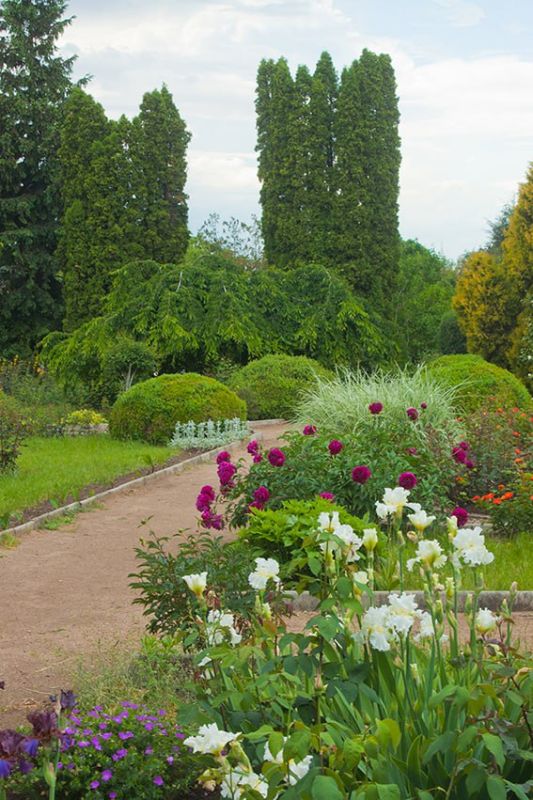 � ������������� ����������� ���������� ��-�������: ����-�� �������� ��������������, ����-�� � ���