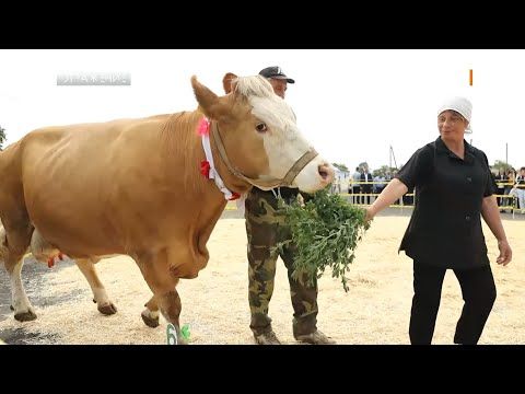 � ��������� ������� ����� �������� � ������ ������ �������������� ������. � ����������� ���� ������� ������� �������...