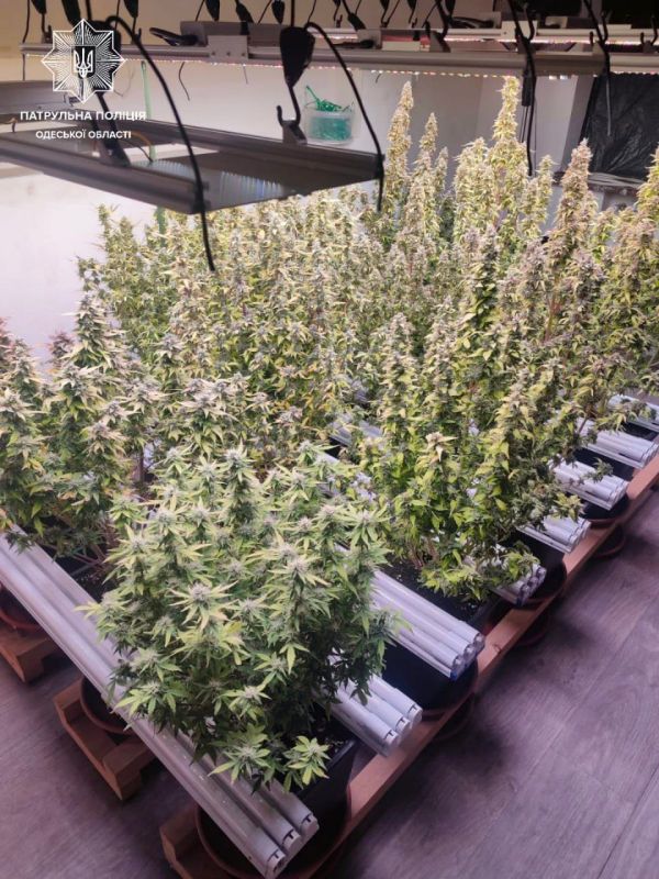 � ������ ����� � ������� ������� � �������� � ����������� ���������, � ����� ����������� ��������� � ���� �����, �� ���������� ��� ����� ��������� ������� � ������ �������� � ���������