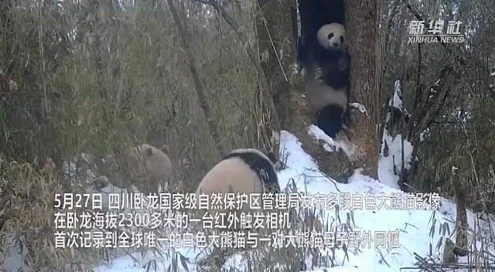 ������ �����-�������� ������ � ��������� ����� � ��������� �����������