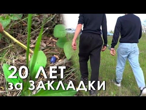 � �������� ������� ������� ��������� ������� ����������, ����� ����� �� ��� �������������. ��� �� ����� �����, ���������