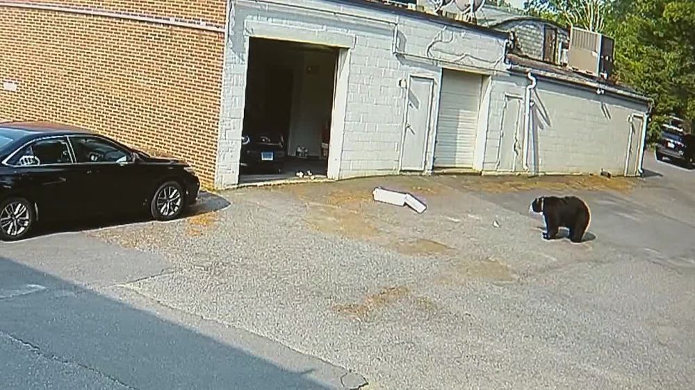 ���� 60 ������. ������� ������� ������� � ���