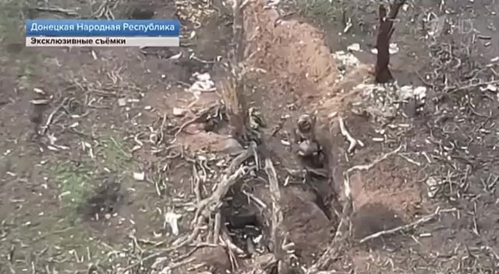 ������� ����� �������� ���. ���������� ���������� �������� ����� ���� � ����������� �������, ����� �� ����� � ������ � �������