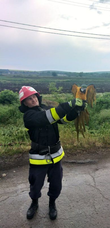 ��� �������� �� ��������� ������������� ����� �������