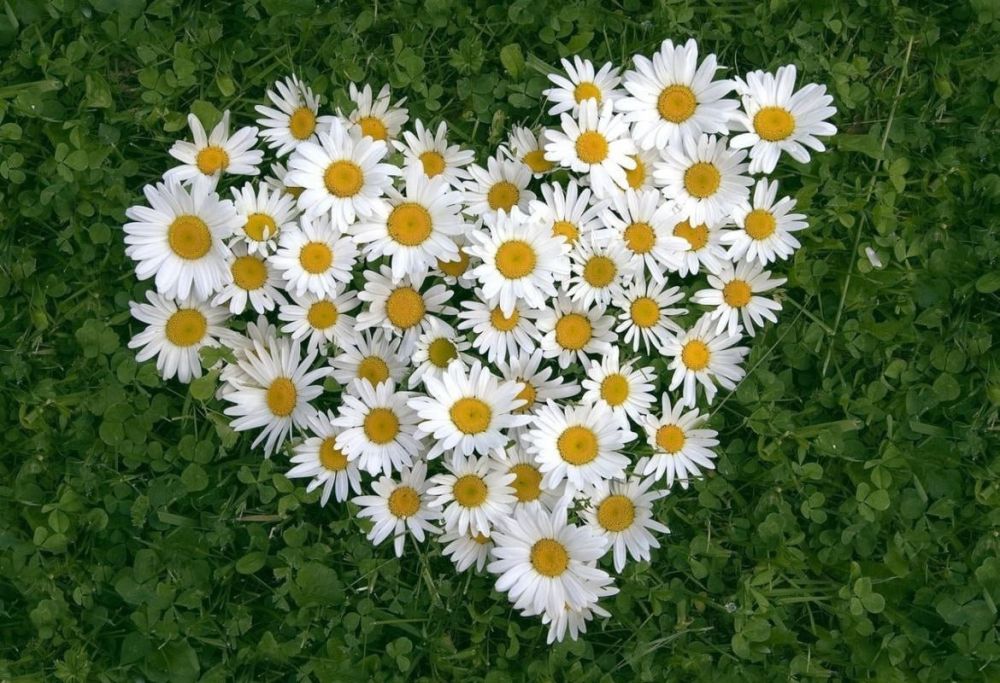 ������, �� �����