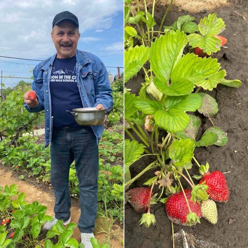 ���-�� ��������������� ������, ���-�� �����