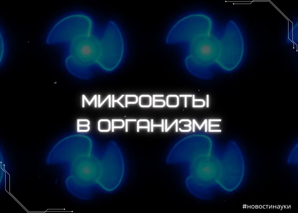 ������������� �� ������������ �������� � �������� ������� ����������, ��������, ����������� ���������, ������� ����� ������ � ���������� ���������� ��������� � �������� ��������