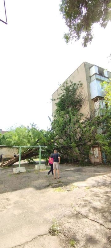 �� ��������, �� ���� ����. �� �������� � ��������� ������ ����� �� ����������. ������������ ���