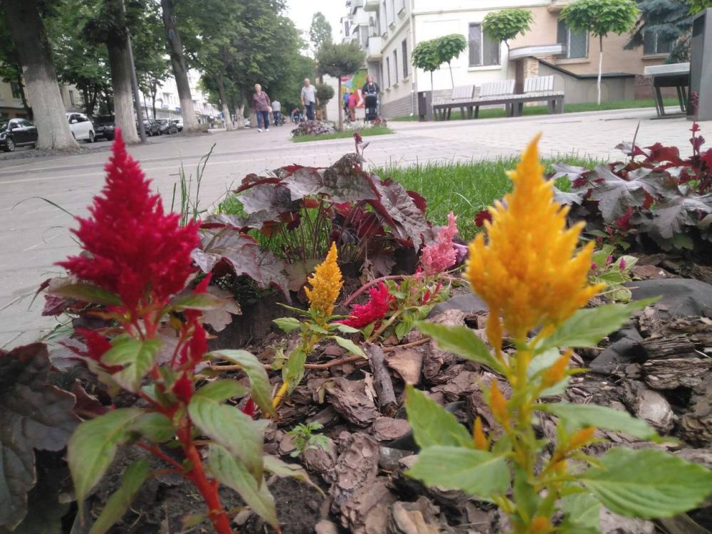 29 ��� �������� ������������� ���� �����������, � ������ � ���� �������� �������������, � ����� ������ � ���� �������������