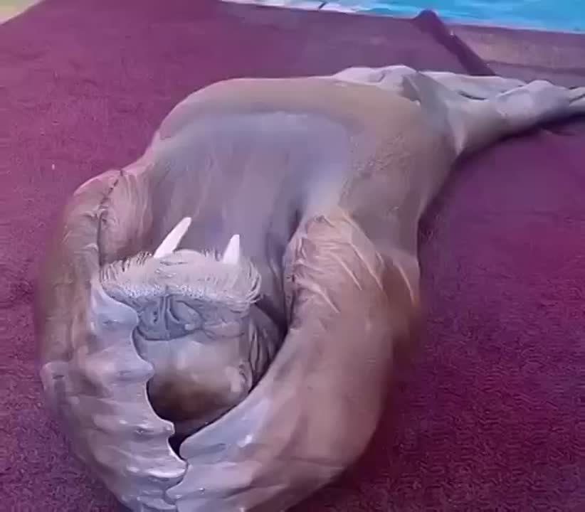 ���� ������ ��� ����� 3 ���!