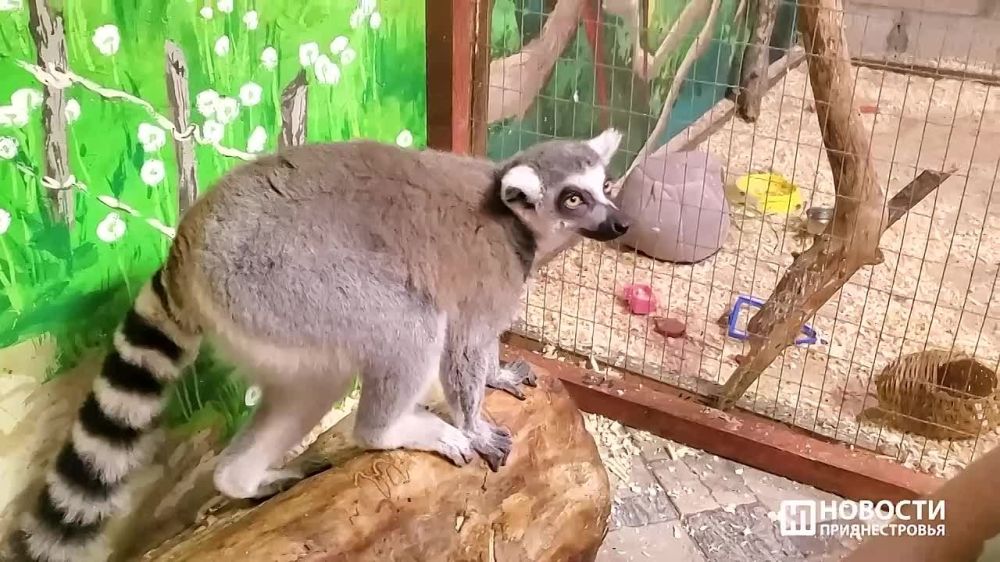 ������������������� ������ ������� �� ����������� ������ � �������������