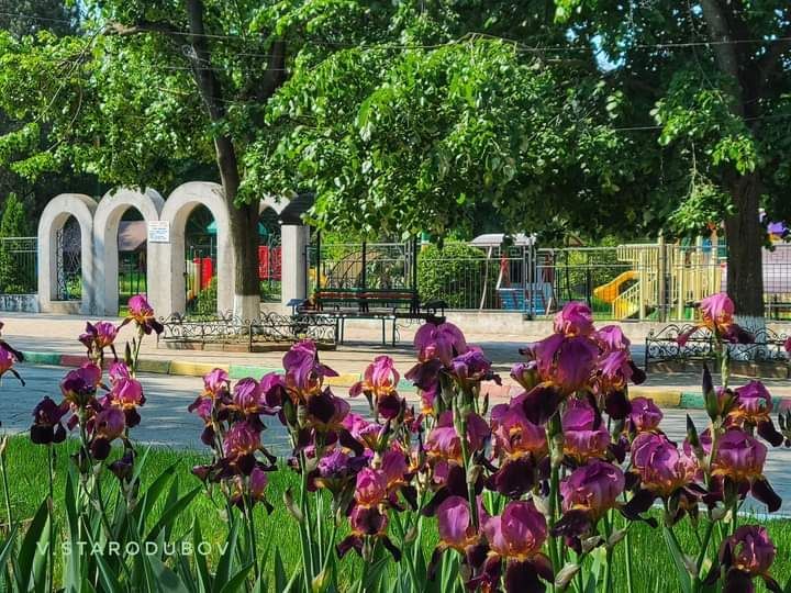 ���������. � ������� ��������