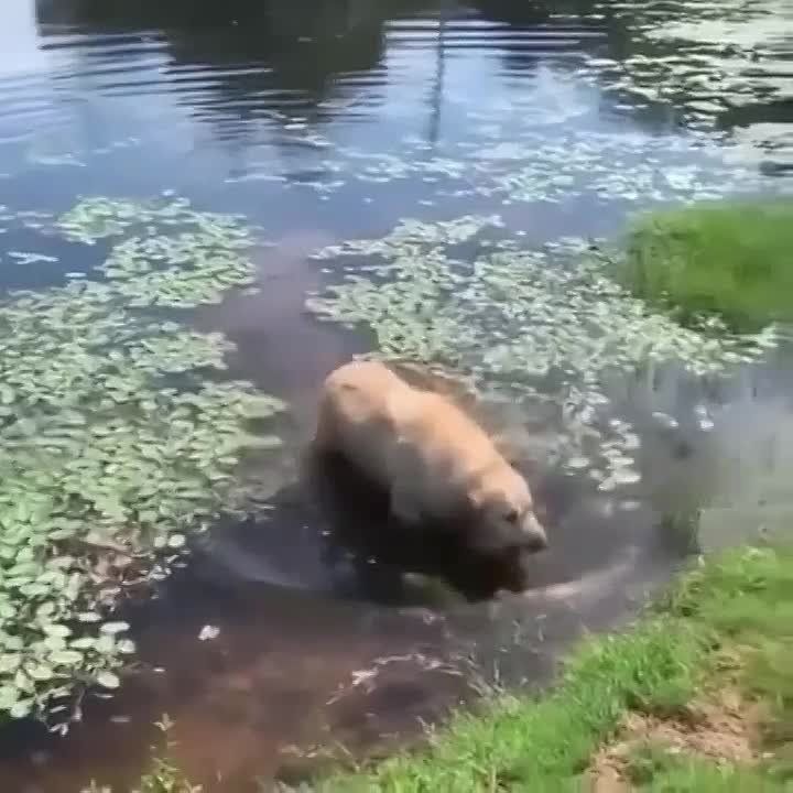 ����� �� �������� �� "������ � ���"