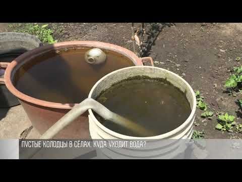 ������ ������� � ��� ��� ����