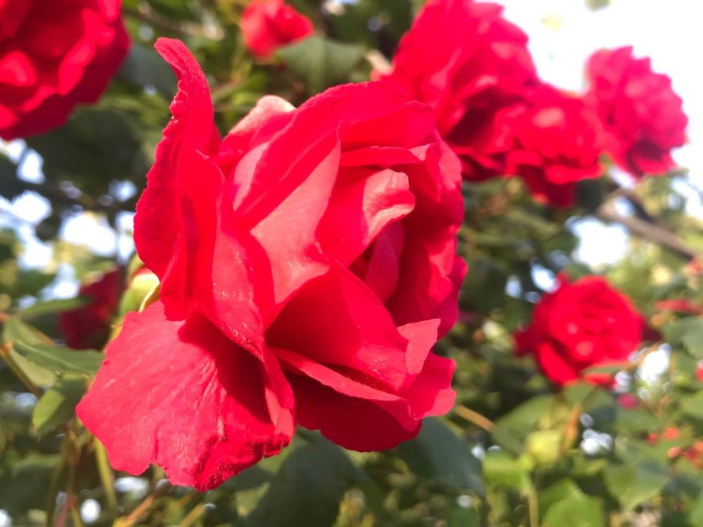 ��������� ���� ������ ������ ����� � �������� �������� 30 ���. � ��� ������� � ���� �������, ������������ ���� ��������� � ���� � ���� ������ ����� ����