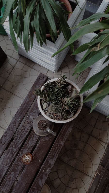 � ����� �� ���������� ��������..