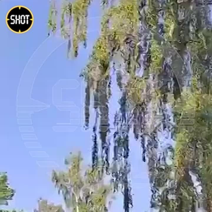 ��� ��������� ��� �� �� ����� ����