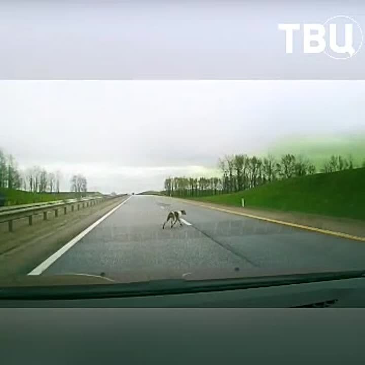 C����� �������������� �������� ��� � ������