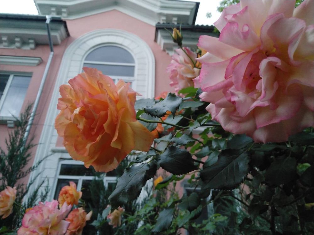 � ������� ������� � �����