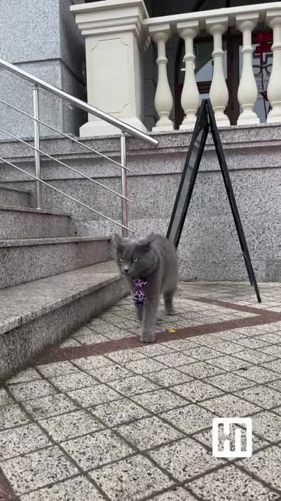 ������� ����� �������� ���� ��� �����