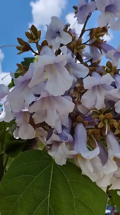 � ����� ��� ���������� ���� ������ ��� ����� �������