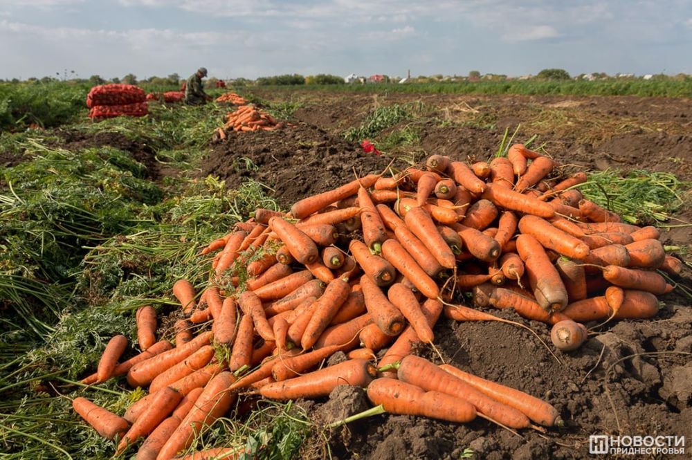 �� ����� 100 �� ���������, �������, ������� � ���� ���������� ����� ����� �������� �� ������� ����������