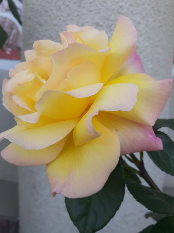 ���������. ������� � �������� "���������"