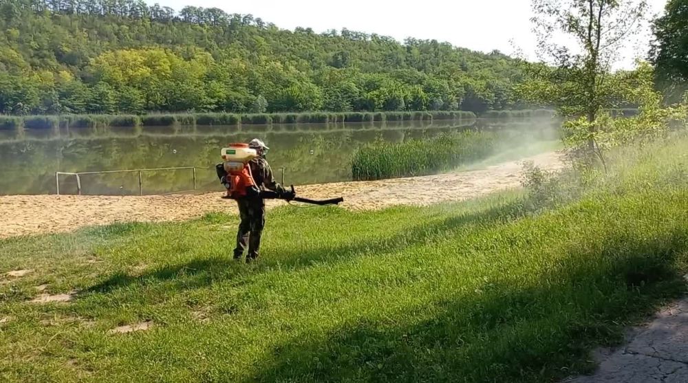 ����� ������������� � ������� ������������ �� ������ � �������