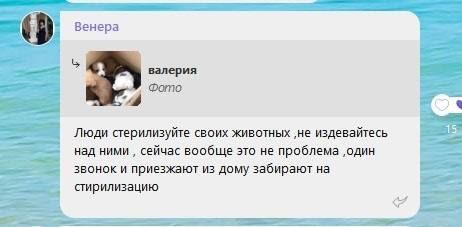 "����, ������������ ����� ��������, �� ����������� ��� ����, ������ ��� ������ �� ��������