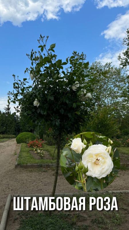 ���������� � ������ � �����������