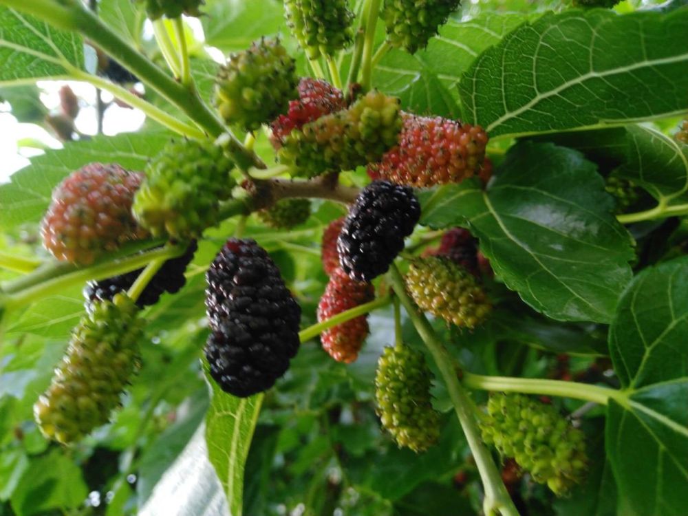 ����� ������� � �������� ��������� ��������� �����