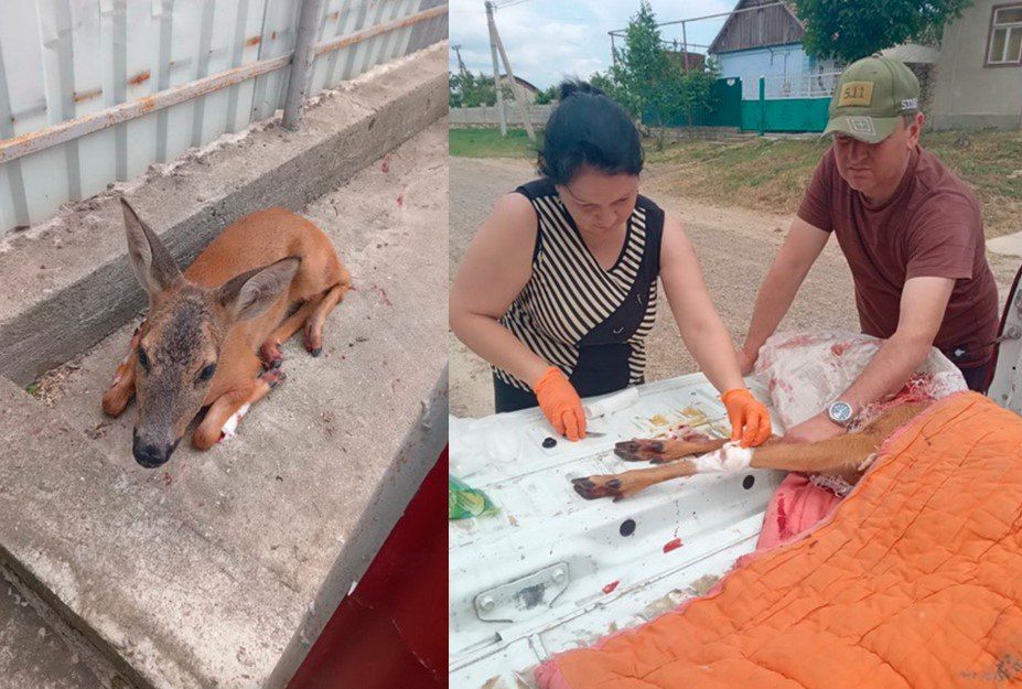 � �������� ���������� ����������� ����� ������� ������