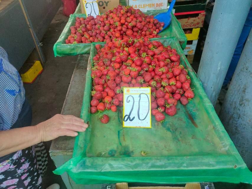 � �������� ������� ���� �� ��������