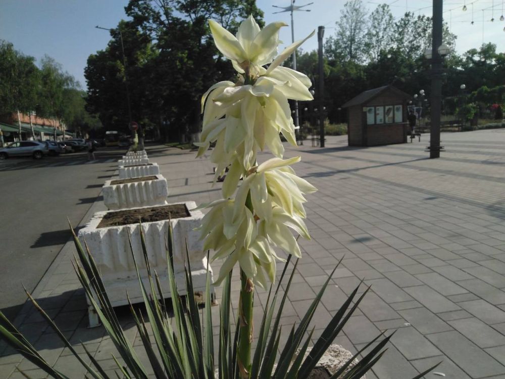 1 ���� ��������� ���������� ����������, ��� �������