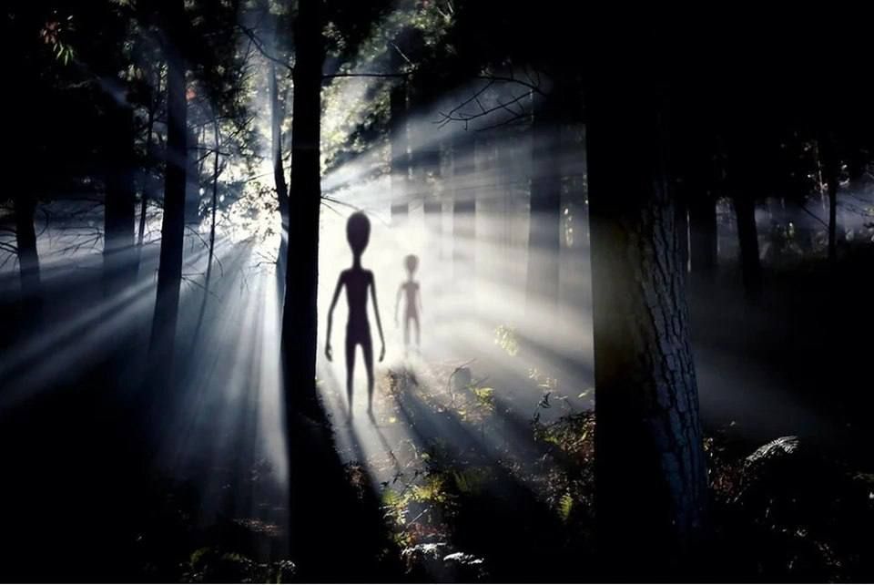 ��������� ��������� ����� ����� ����������, ��� �� ����� ������������ ������������