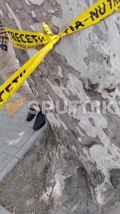 ����� �������� ������� ������ ����������� ������ � �� ��� �������� ����� ���������