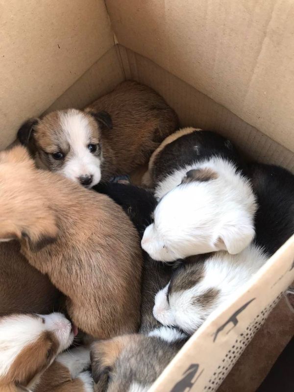 � ������� ���� ������� ���������, ��� ���-�� ������� � ������� ������� ��������� �����: