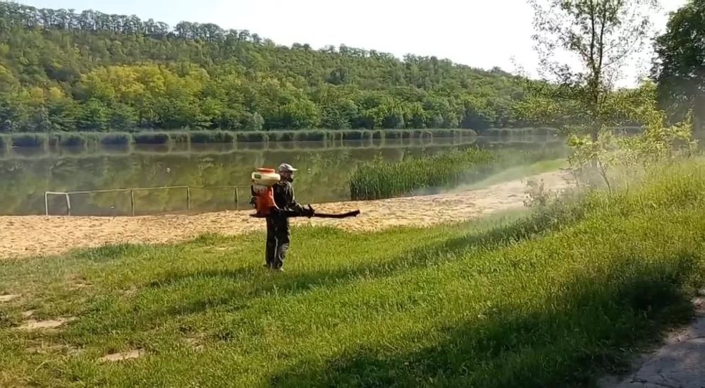 ����������� �����, ����������, ����� � ������ ��������� �������� �� ������ � ������� ������� � �������