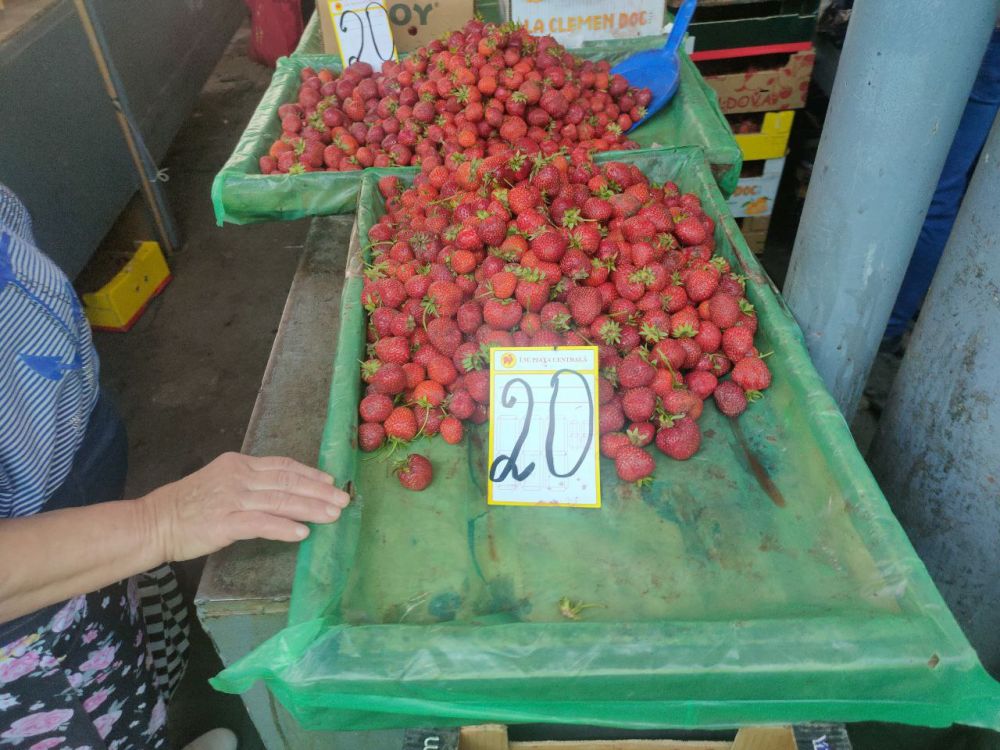 � ������� ����� ������� ����� ����������� � �������� �� 20 ����