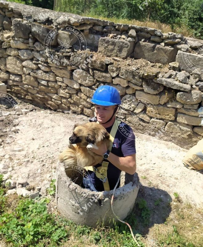 ������ ������. � ���, ��� �������� (������ ��������) ����� � ������ ������� �� ���������� �������� ���� � �. ������������, 1 ���� ��������� ���������������� ��������-������������� ������������� ������� ������