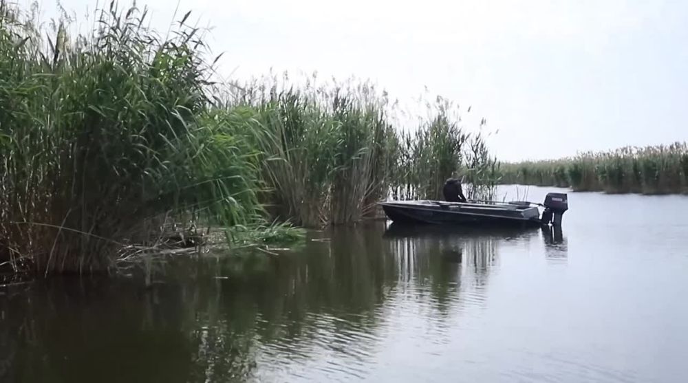 ������� �� ����!�, ������ �� ������-����������