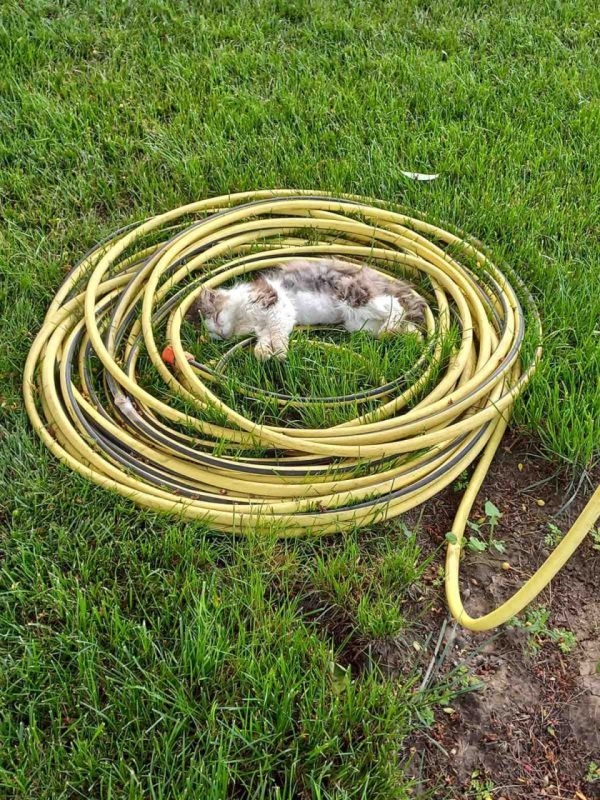 ������� � �����.. ���� �� �������� �������