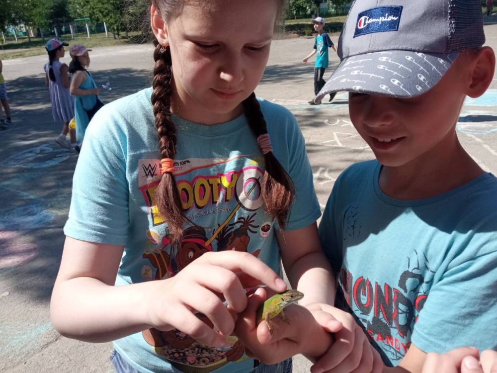 � ���� ������ ����� ��������������� ����������� ��������� �� ���� 17-� ����� � ����������� ��������